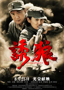 海豚的故事2