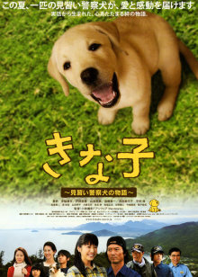 与百万富翁同行