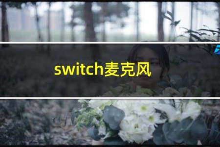 switch麦克风