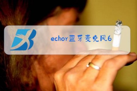 echor蓝牙麦克风600+