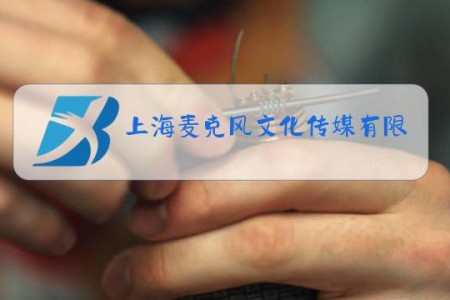 上海麦克风文化传媒有限公司股东信息