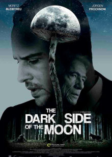 知否知否应是绿肥红瘦