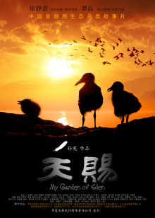 地球的起源第2季